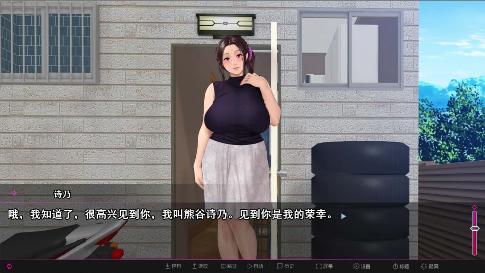 纯情房东撬房客 Afternoon Affairs & Helpless Housewives封面